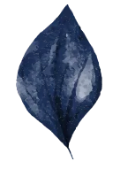 256 leaf